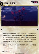 エコーフラワー 【KT/JM/23R】